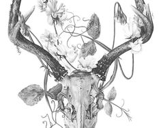 a drawing of a deer skull with flowers on it's antlers and horns