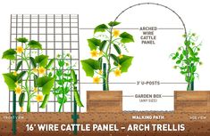 the diagram shows how to build a garden trellis for plants and other things that are growing in it