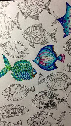 an adult coloring book with colorful fish on it