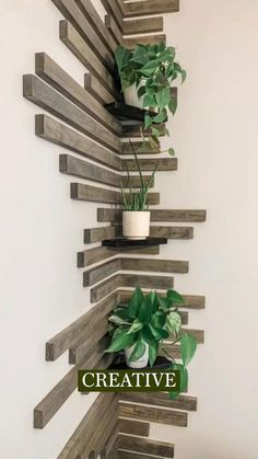 a wooden shelf with some plants on it and the words creative above it that reads