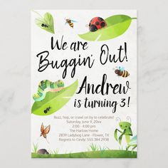 an insect themed birthday party with the words, we are buggin out and there is turning