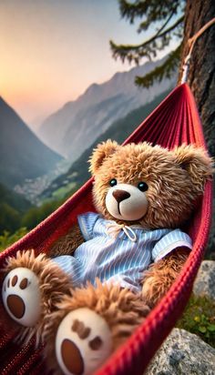 a teddy bear is sitting in a hammock