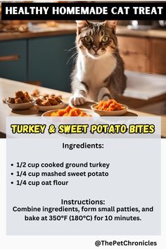 a cat sitting on top of a kitchen counter next to a plate of food with the words healthy homemade cat treat turkey and sweet potato bites