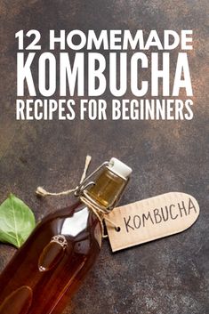 homemade kombucha recipe for beginners with label and leaves on stone surface