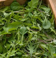 a wooden box filled with lots of green leaves