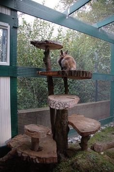 a cat sitting on top of a tree stump next to a bird feeder in a cage