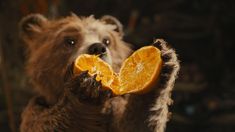 a stuffed animal holding an orange in it's mouth