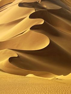 the desert is filled with sand dunes