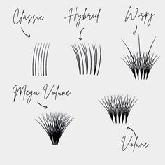 Lash Extensions Mega Volume, Mega Volume Lash Extensions, Classic Lash Extensions, Eyelash Decor, Lashes Tutorial, Lashes Fake Eyelashes, Lash Extension Supplies, Wispy Eyelashes