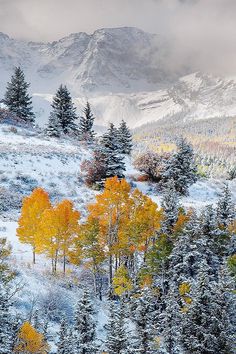 the mountains are covered in snow and trees with yellow leaves on them, as well as clouds