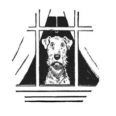 a black and white drawing of a dog looking out the window with his head sticking out