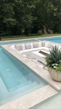 a pool with a couch next to it and a potted plant in the middle