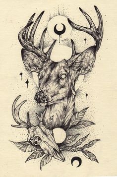 an ink drawing of a deer with moon and stars on it's head, surrounded by leaves