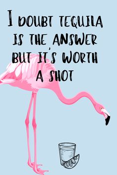 a pink flamingo standing next to a shot glass with the words i doubt tequila is the answer but it's worth a shot