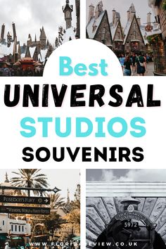 the best universal studios souvenirs in europe with text overlay that reads best universal studios souvenirs