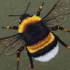 a yellow and black insect sitting on top of a piece of cloth