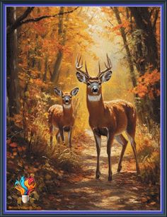 two deer standing in the middle of a forest with trees and leaves on it's sides