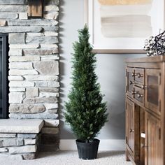 a potted tree sitting in front of a fireplace