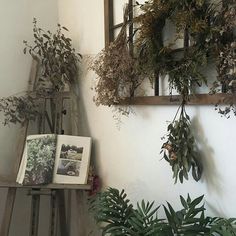 some plants are hanging on the wall