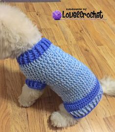 a small white dog wearing a blue and gray sweater on top of a wooden floor