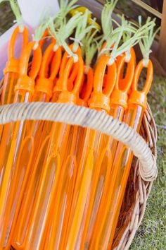 orange scissors are sitting in a basket on the grass