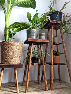 three wooden plant stands with plants on them