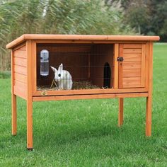 a small rabbit in a wooden cage on the grass