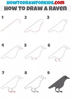 how to draw a raven step by step drawing instructions for kids and beginners with pictures