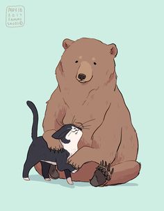 an image of a bear and a cat on the same page, with caption in english