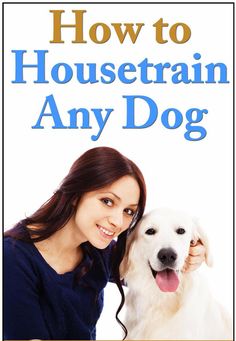 a woman petting a white dog with the title how to housetrain any dog