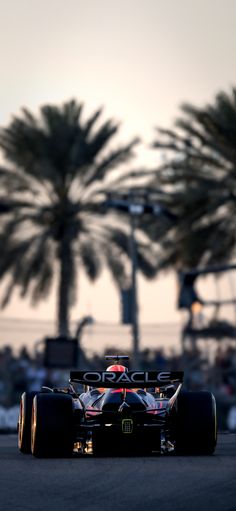 Max Verstappen | Oracle Red Bull Racing | Abu Dhabi Grand Prix 2024 | F1 Wallpaper | Photo By: Photo by Rudy Carezzevoli / Getty Images