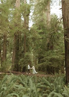 a bride and groom walk through the woods together in front of tall, green trees