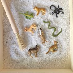 various toy animals are arranged in a shadow box with a broom and spider on the floor