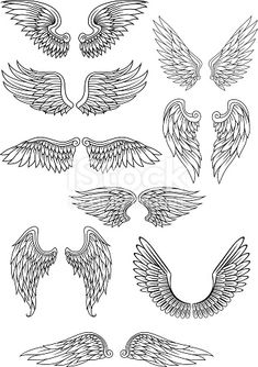 an image of angel wings in different positions