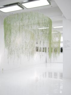 an empty room with white walls and green plants hanging from the ceiling in front of it