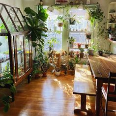 a room filled with lots of potted plants next to a wooden table and bench