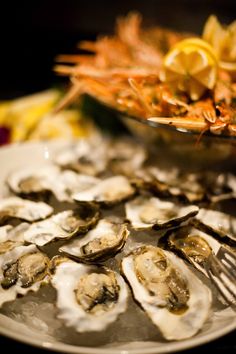 an assortment of oysters and shrimp on a plate