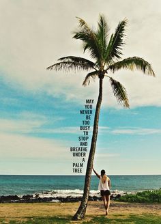 a man walking on the beach with a palm tree in front of him and an inspirational quote above it