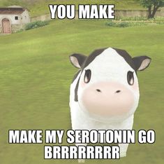 a cartoon cow with the caption you make make my seretoin go bbrrrrra