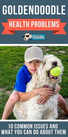 a boy holding a dog with a tennis ball in his mouth and the caption reads, goldendoodle health problems