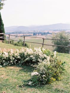 white flowers are growing in the grass near a fence and wooden posts on a hill