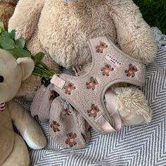 two teddy bears sitting next to each other on a blanket with flowers in front of them