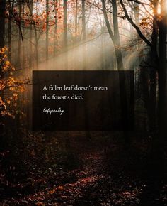 a path in the woods with a quote on it that says, a fallen leaf doesn't mean the forest's died