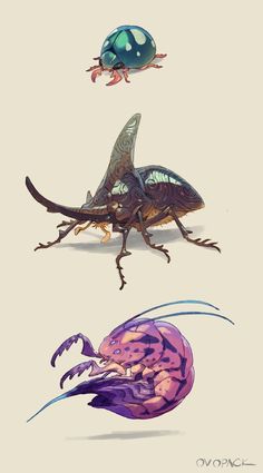 three different types of insects on a white background with blue and purple colors, one is green