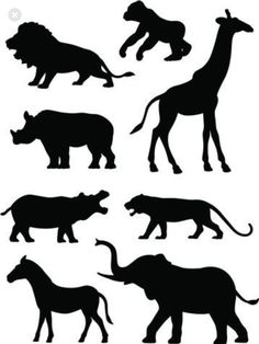 the silhouettes of different animals are shown in black and white, including an elephant, rhino