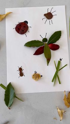 the paper is made to look like bugs and leaves