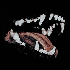 the teeth of an animal are white and black in this dark photo with only one tooth visible