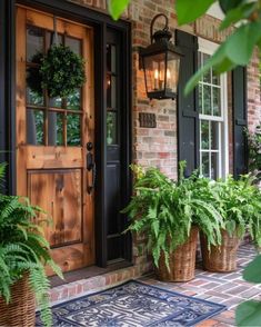 the front door is decorated with potted plants and hanging lights on it's side