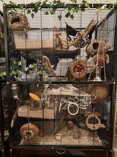 a cage filled with lots of different types of birds