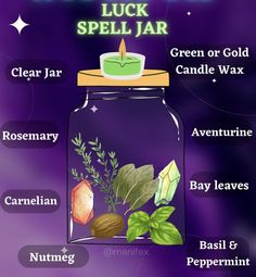 Sour Jar, Celestial Mermaid, Spiritual Crafts, Money Bowl, Crystal Knowledge, Witchcraft Stuff, Witchy Journal, Simmer Pots, Money Spells That Work